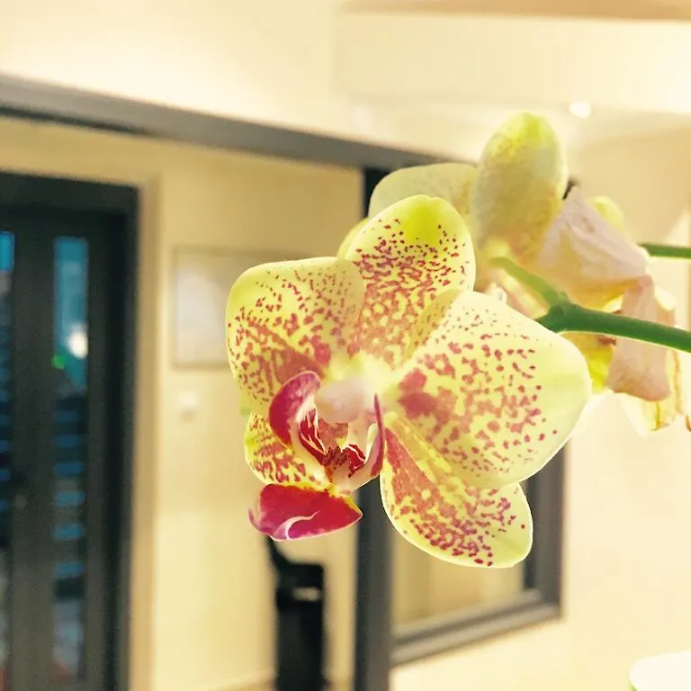 Hotel Fiorenza Rzym