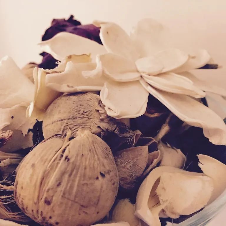 Hotel Fiorenza Roma